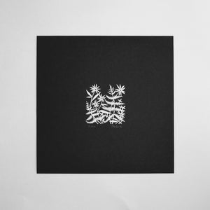 100 Two Inch Squares | 21/100