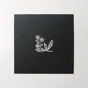 100 Two Inch Squares | 37/100