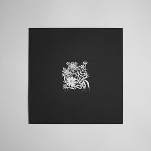 100 Two Inch Squares | 38/100