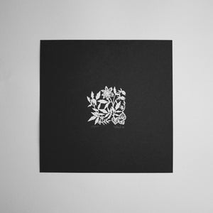 100 Two Inch Squares | 39/100