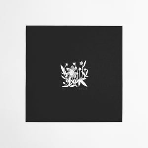 100 Two Inch Squares | 43/100