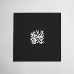 100 Two Inch Squares | 74/100