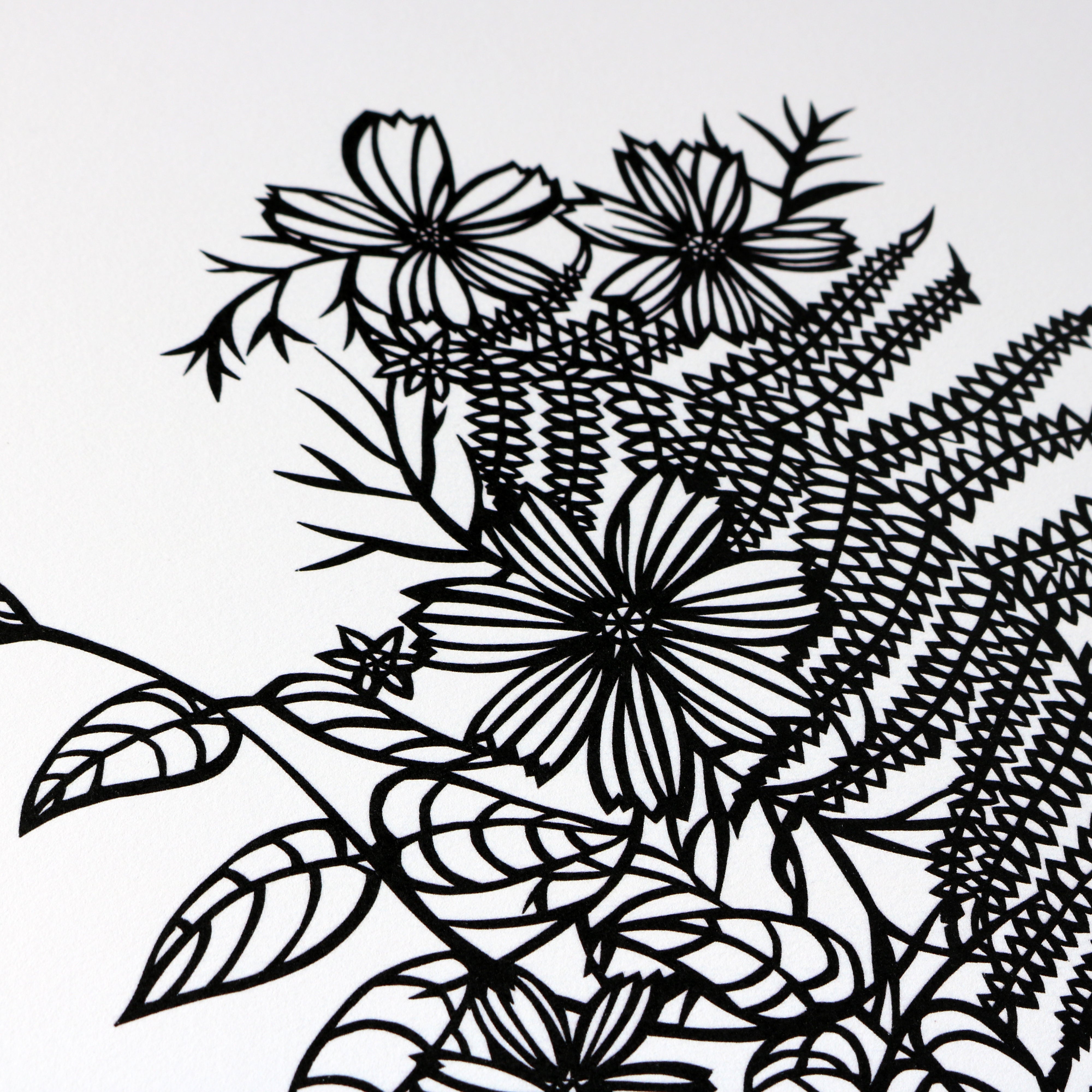 "Cosmos & Ferns I" | Archival Art Print