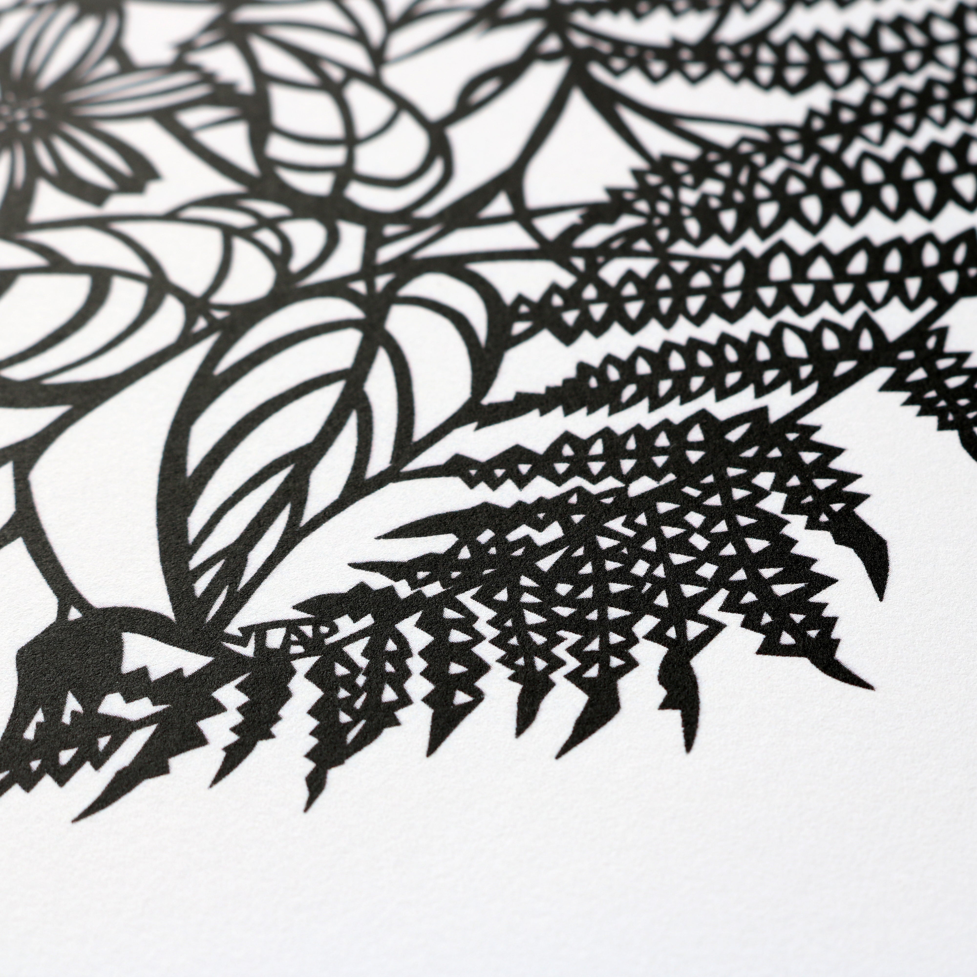 "Cosmos & Ferns I" | Archival Art Print