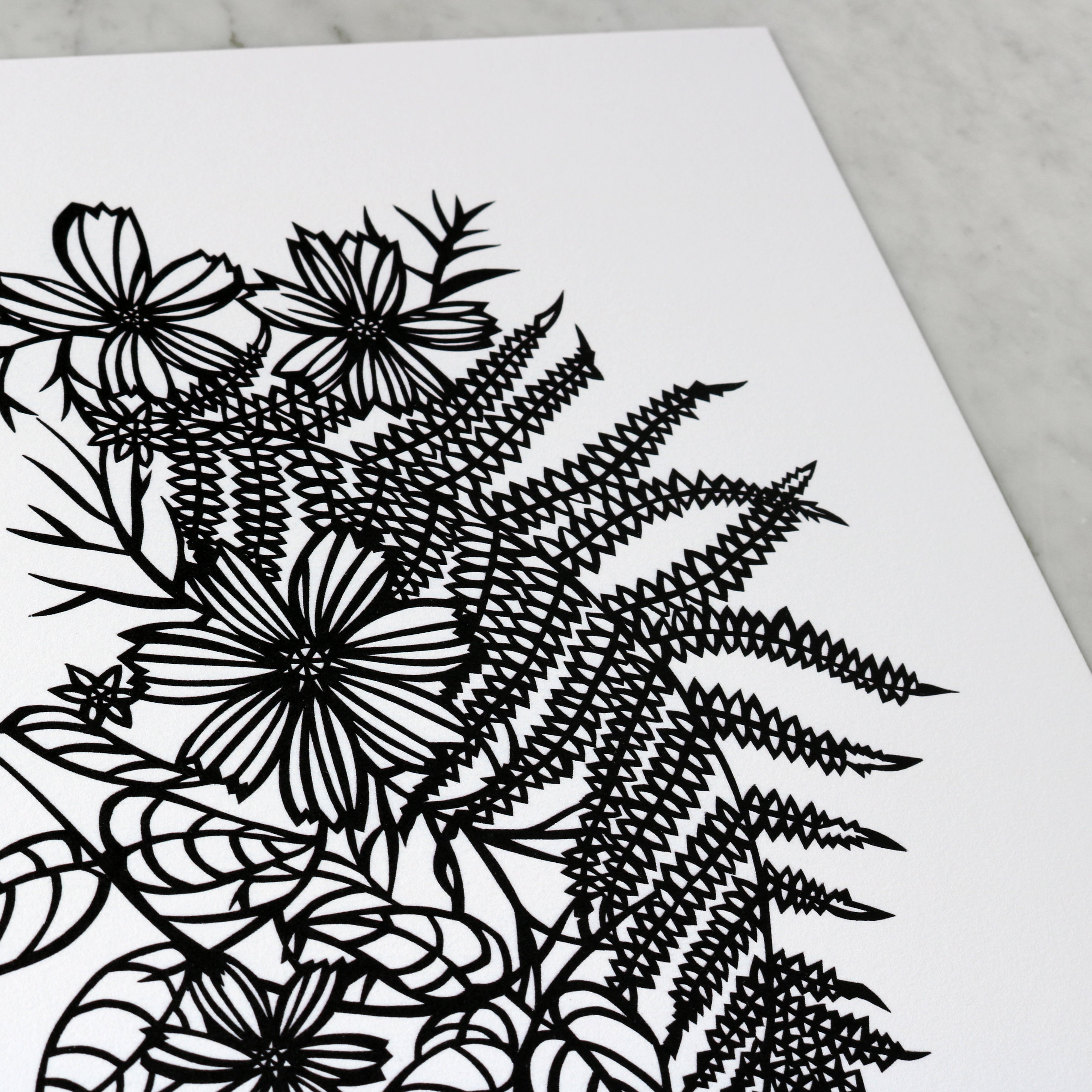"Cosmos & Ferns I" | Archival Art Print