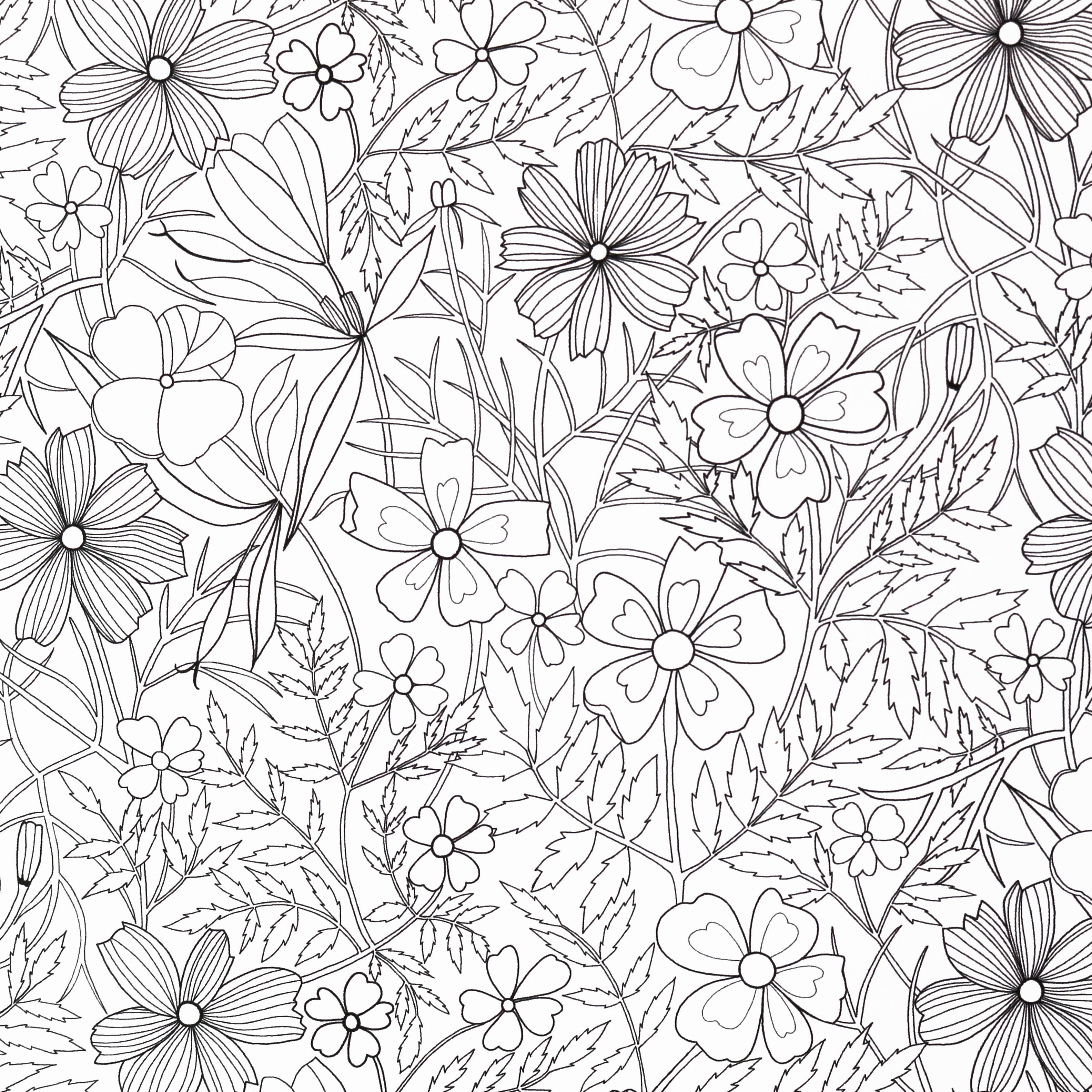 Sketched Garden: Marigold | Gift Wrap - 3 Sheets
